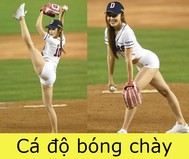 cá độ kèo bóng chày