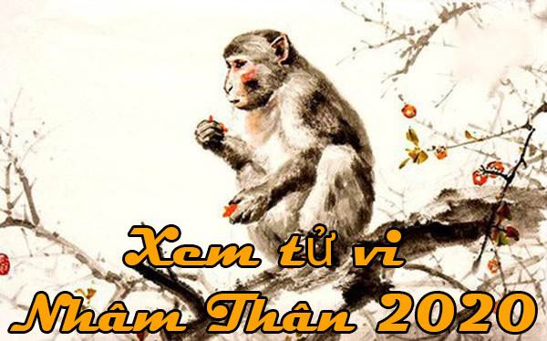 Xem tử vi Nhâm Thân 2020 chi tiết theo tháng âm lịch