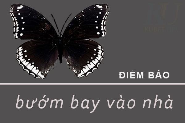 Điềm báo bướm bay vào nhà